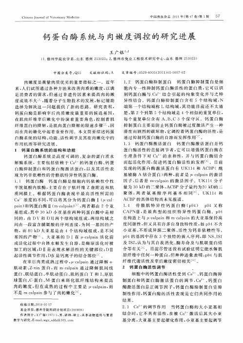 钙蛋白酶系统与肉嫩度调控的研究进展