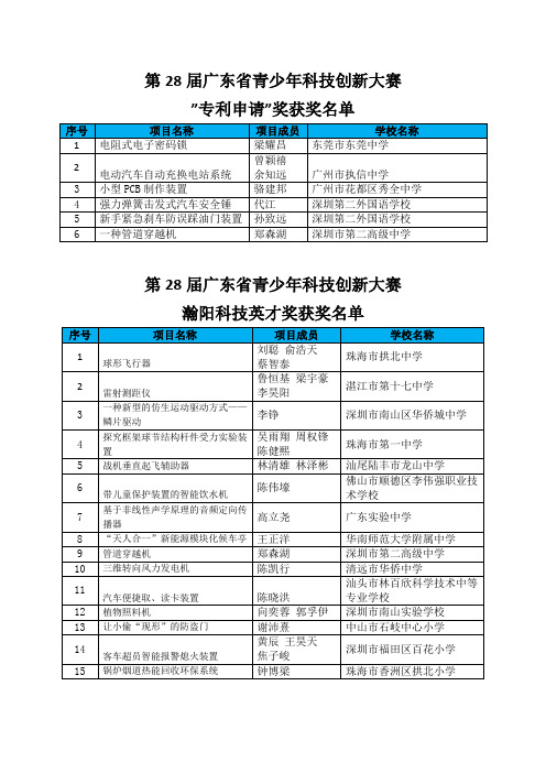 第28届广东省青少年科技创新大赛专项奖