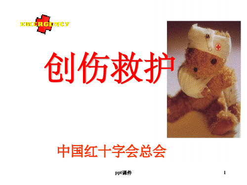 《救护员创伤救护》PPT课件