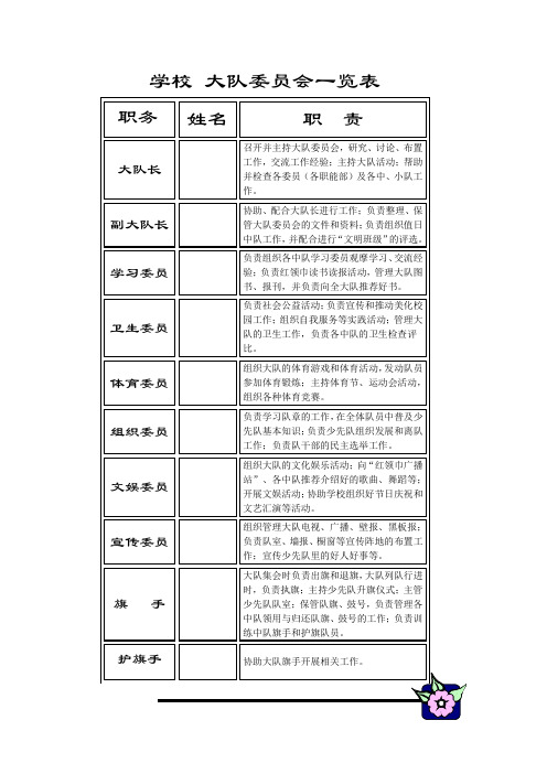 学校 大队委员会一览表