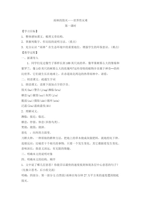 雨林的毁灭——世界性灾难 Microsoft Word 文档
