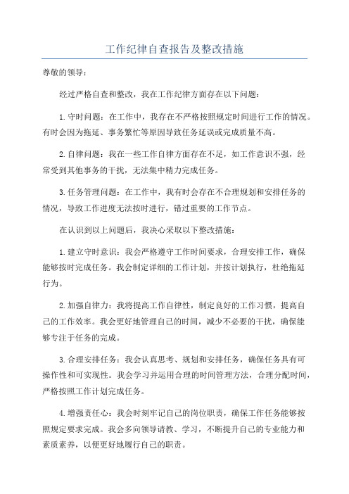 工作纪律自查报告及整改措施