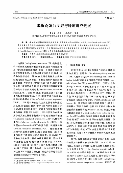 未折叠蛋白反应与肿瘤研究进展