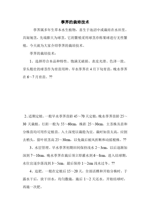 荸荠的栽培技术.doc