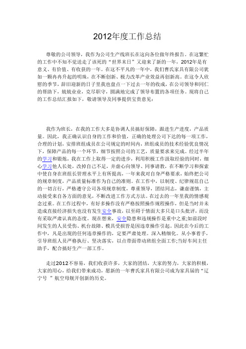 2012年度工作报告