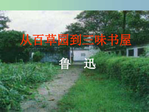 七年级语文下册《6 从百草园到三味书屋》课件 (新版)苏教版PPT
