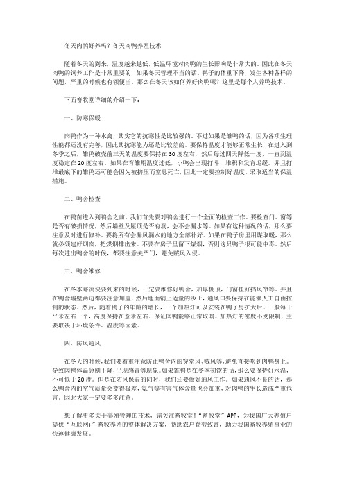 冬天肉鸭好养吗？冬天肉鸭养殖技术