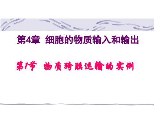 4-1物质跨膜运输的实例(PPT36页)