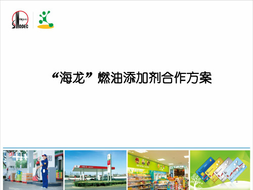 中石化合作方案