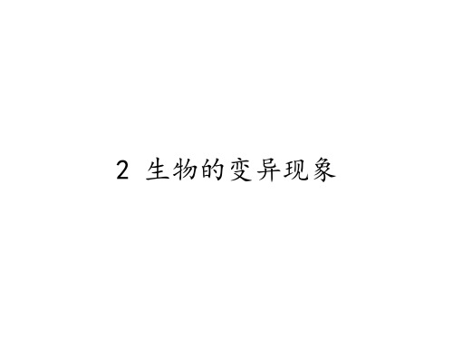 六年级科学下册教学课件-2.2 生物的变异现象 -苏教版(24张PPT)