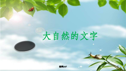 小学语文六年级上册《大自然的文字(1)