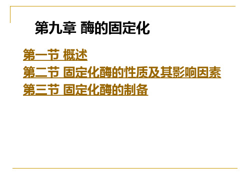 第九章 固定化酶