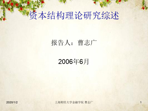 资本结构理论研究综述(ppt 32页)