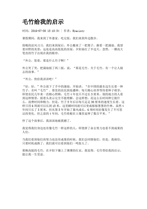 毛竹给我的启示