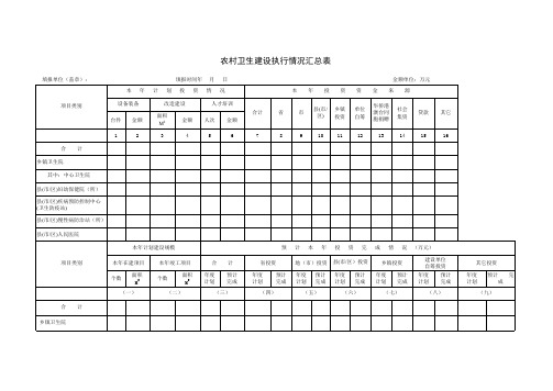 【实用表格模板】农村卫生建设执行情况汇总表