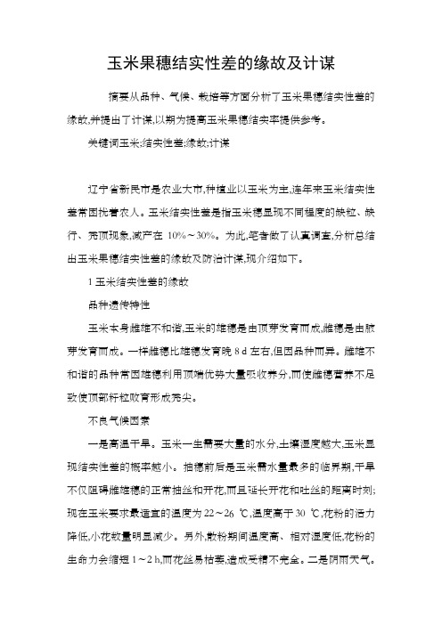玉米果穗结实性差的缘故及计谋