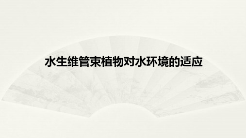 水生维管束植物对水环境的适应