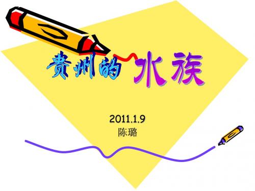 水族