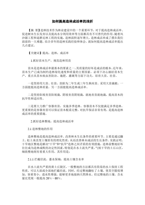 如何提高造林成活率的浅析