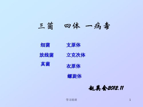 螺旋体、支原体、衣原体、立克次体三菌四体一病毒(培训学习)