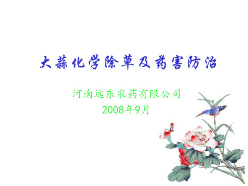 大蒜化学除草与药害