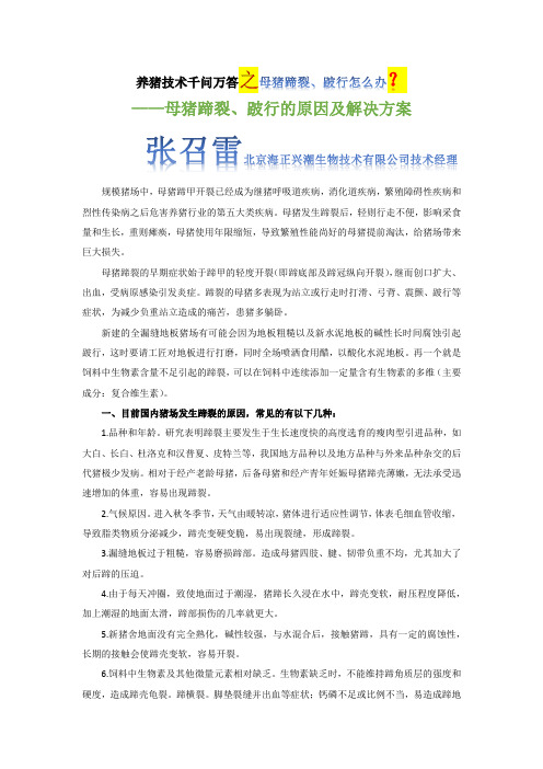 养猪技术千问万答之母猪蹄裂、跛行