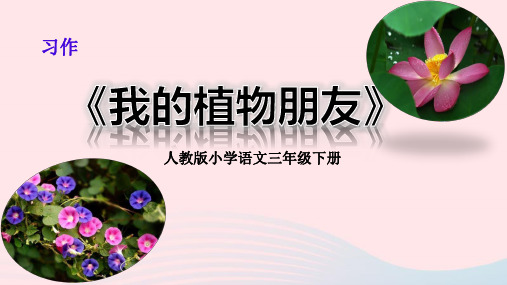 部编版三年级下册语文课件-习作：我的植物朋友1 (共24张PPT)