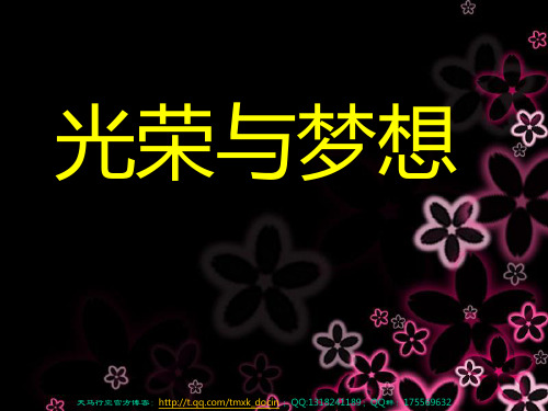 《光荣与梦想》PPT课件