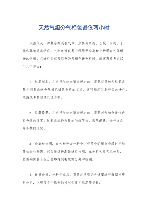 天然气组分气相色谱仪两小时
