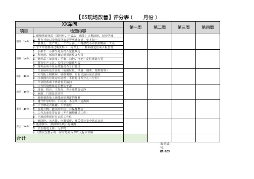 6S检查表及评分模板