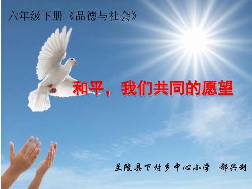 和平 我们共同的愿望