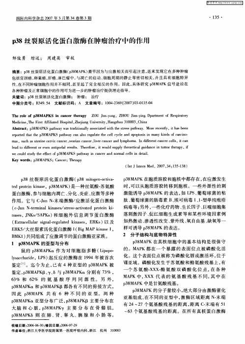 p38丝裂原活化蛋白激酶在肿瘤治疗中的作用