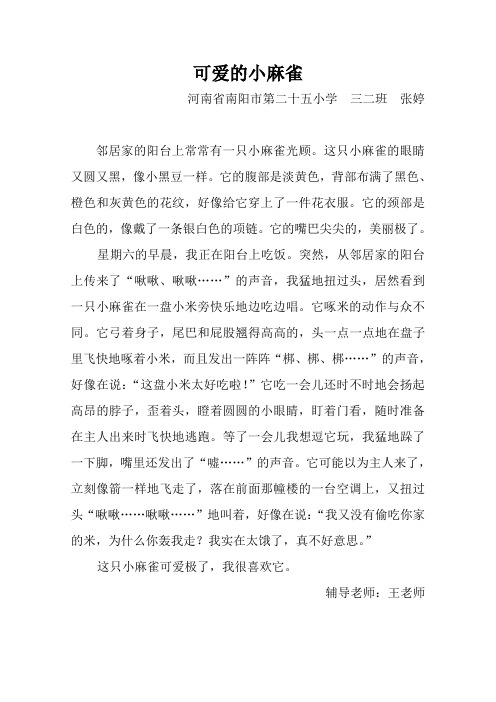 可爱的小麻雀