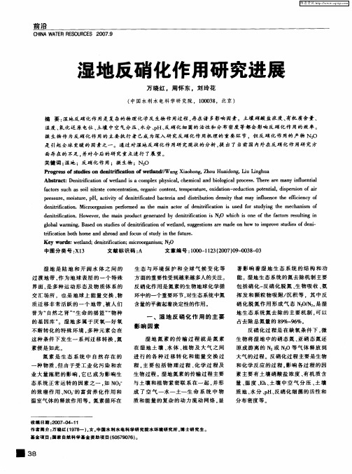 湿地反硝化作用研究进展