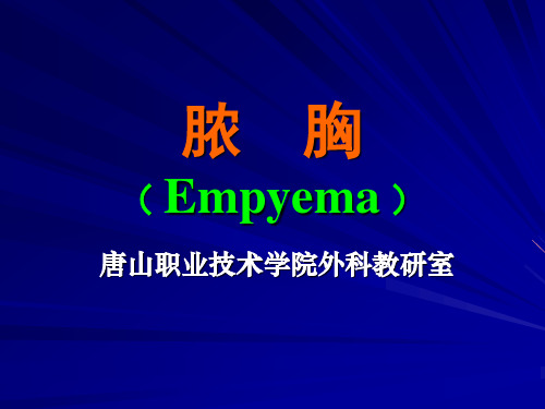 脓胸 PPT课件