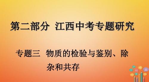 江西省2018年中考化学复习第二部分专题研究专题三物质的检验与鉴别、除杂和共存课件