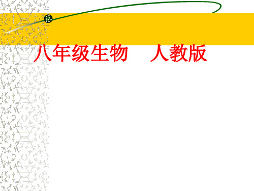 人教版初中生物课标版八年级上册第五单元第四章第三节 真菌(共26张PPT)