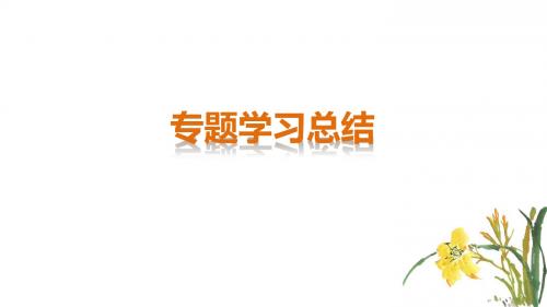 高中历史(人民版必修一)配套课件：专题五 现代中国的对外关系专题学习总结