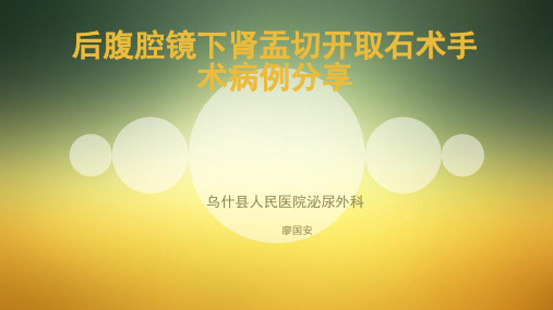 后腹腔镜下肾盂切开取石术ppt
