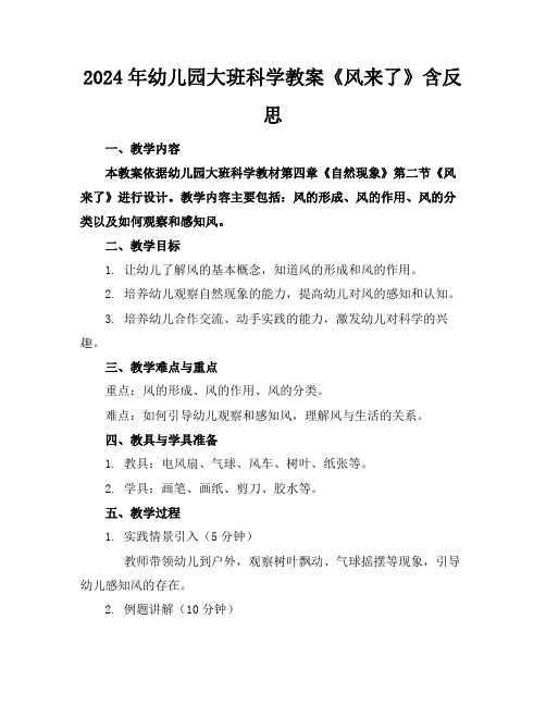 2024年幼儿园大班科学教案《风来了》含反思