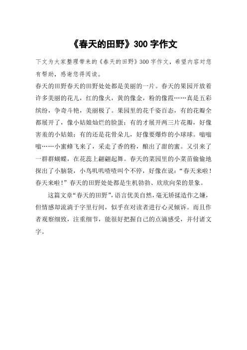 《春天的田野》300字作文