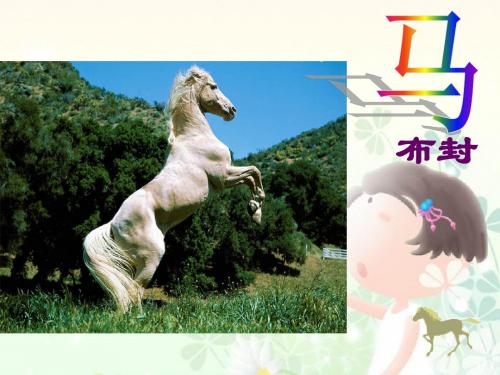 七年级下册语文人教版29马