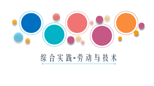 优质课一等奖小学综合实践《巧手工艺坊：巧手缝沙包》