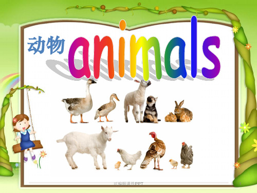 小学英语动物专题ppt课件