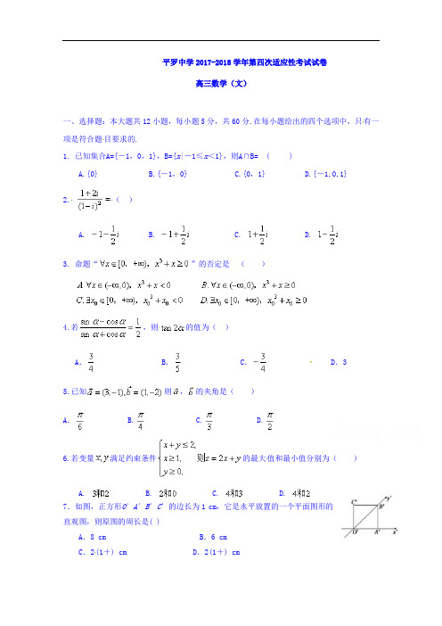 宁夏平罗中学2017-2018学年高三12月适应性考试数学(文)试题 Word版缺答案