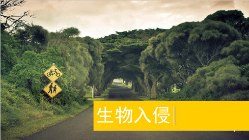 生物入侵PPT课件