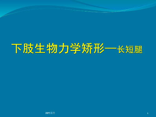 下肢生物力学足部矫形  ppt课件