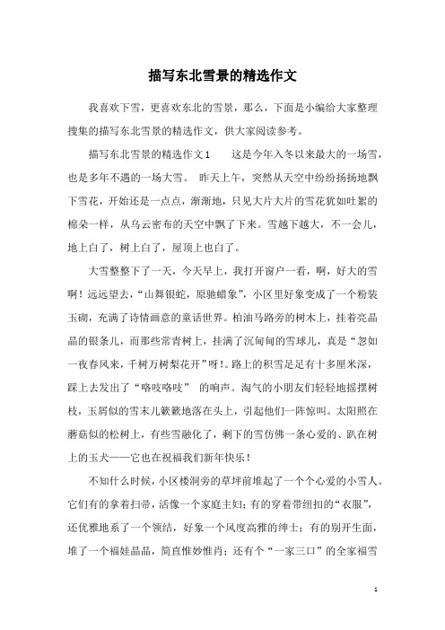 描写东北雪景的精选作文