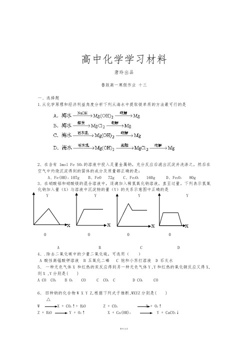 鲁科版高中化学必修一高一化学寒假作业13.docx