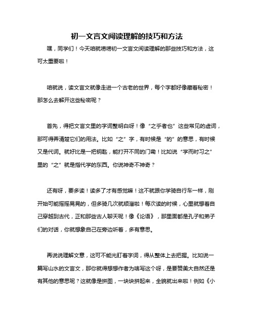 初一文言文阅读理解的技巧和方法